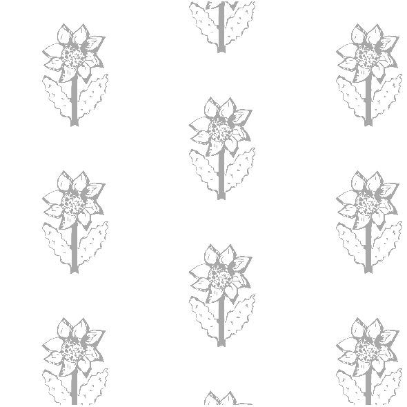 Fabric 10600 | SUNFLOWER 1 - gray and white pattern