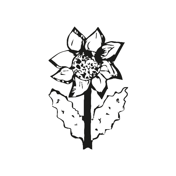 Fabric 10606 | SUNFLOWER 2 - gray and white pattern