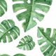 Fabric 10964 | palmowy dywan