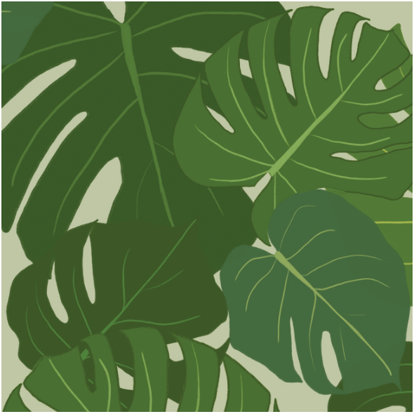 Tkanina 11263 | monstera