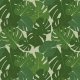 Fabric 11263 | monstera