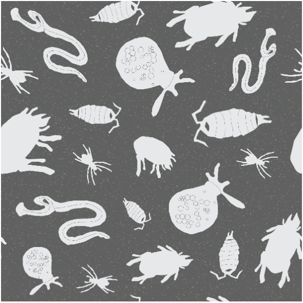 Fabric 11465 | OWADY, PająkI, organizmY  żyjącE w glebie