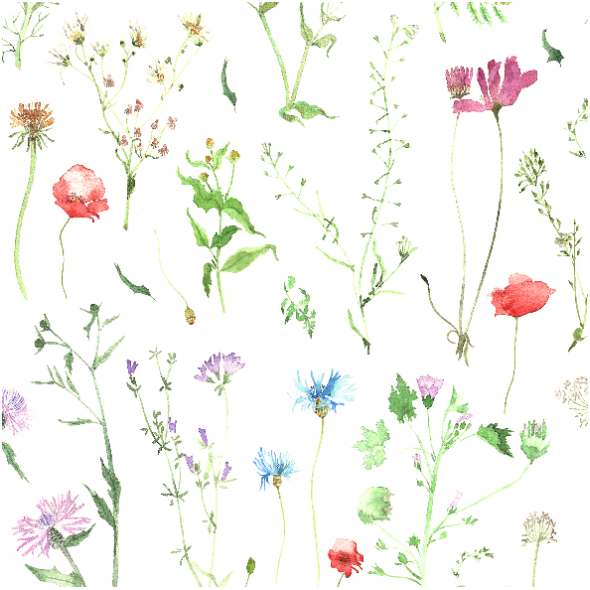 Fabric 11659 | Kwiaty polne - M