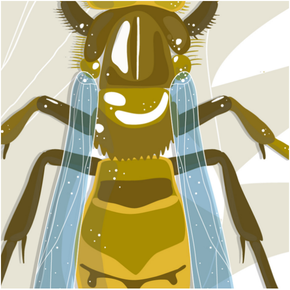 Tkanina 11667 | osa panel