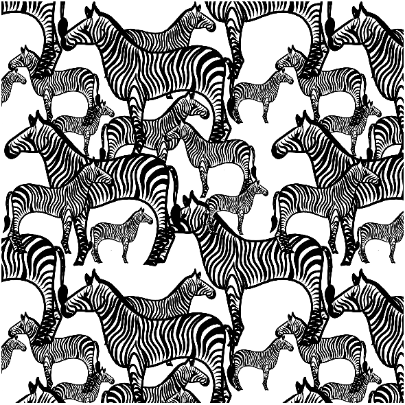 Fabric 11969 | Zebra