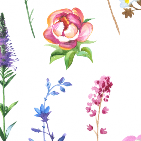 12094 | watercolor flowers1