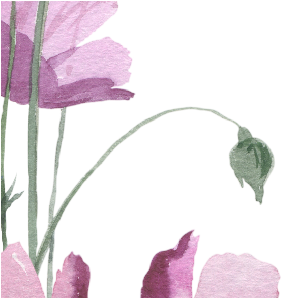 Tkanina 12095 | watercolor flowers2