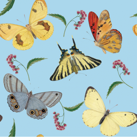 Fabric 12096 | Motyle Pale Blue