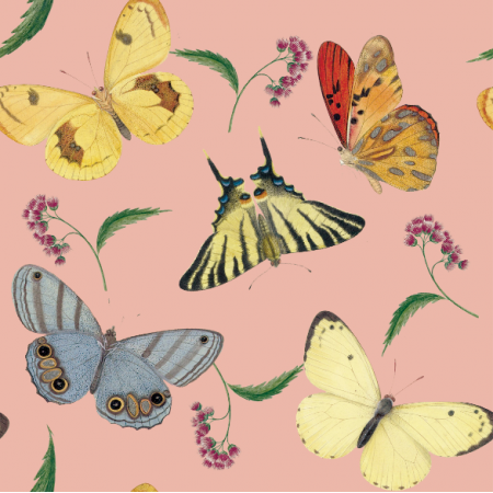 Tkanina 12097 | Motyle Pale Pink