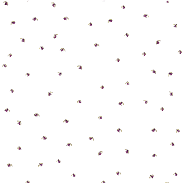 Fabric 12208 | kwiatuszki