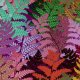 Tkanina 12343 | ferns lily