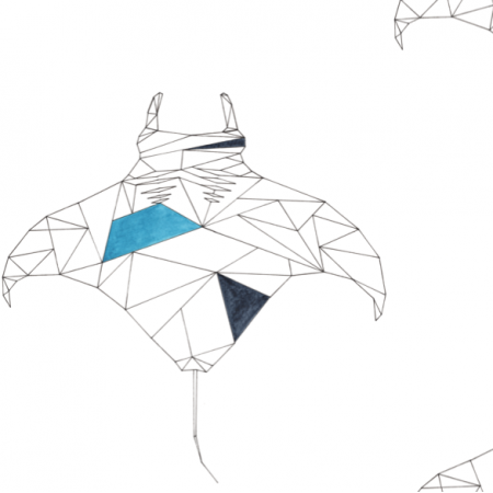 Fabric 12579 | Geometryczne manty