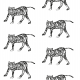 Tkanina 12621 | Tiger-white and black pattern