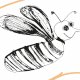 Fabric 12628 | Crazy bee - pattern for pillow