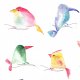 Fabric 13038 | dream birds