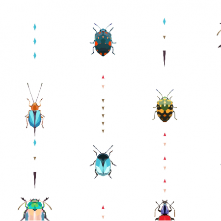 13084 | Kolorowe owady