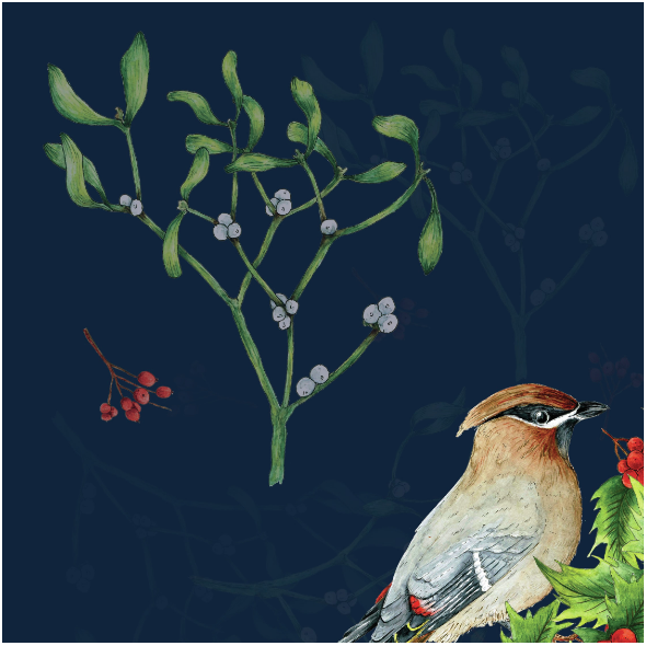 Fabric 13275 | jemiołuszka