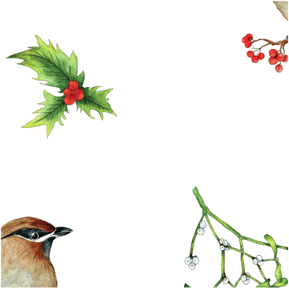 Fabric 13276 | jemiołuszka II