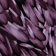 Fabric 13388 | feathers-02