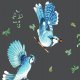 Fabric 14171 | modrosójka - blue jay