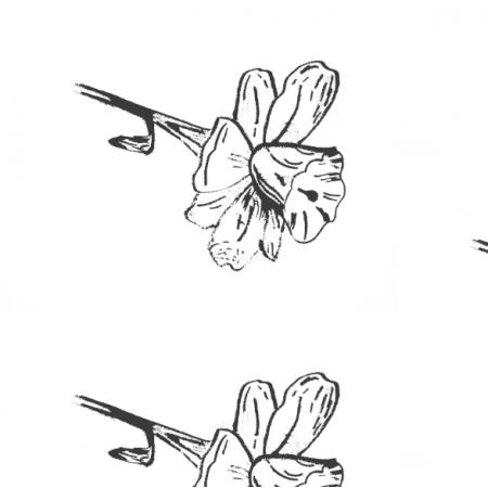 Tkanina 14632 | Kwiatowy szkic
