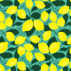 Tkanina 14650 | lemon yellow and green0