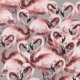 Fabric 14706 | FlAmingos