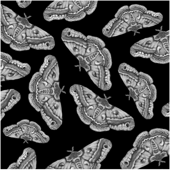 Fabric 14836 | Amazing love