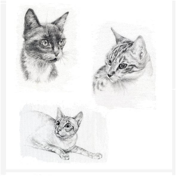 Tkanina 15384 | Cats - Koty