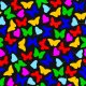 Fabric 15397 | Butterflies/Colorful