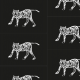 Tkanina 15550 | Tiger 2- BLACK and WHITE pattern