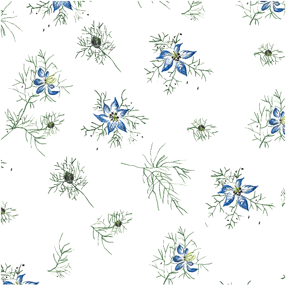Fabric 15668 | kwiat czarnuszki