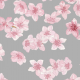 Tkanina 15750 | Kwiaty wiśni