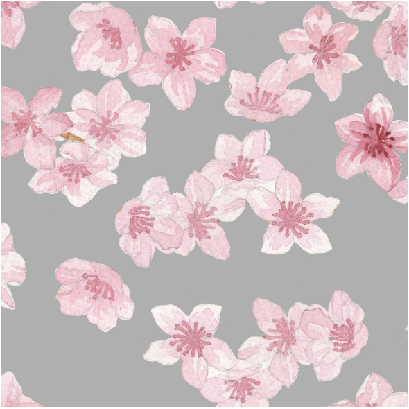 Fabric 15750 | Kwiaty wiśni