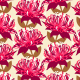 Tkanina 15809 | Waratah australian flora cream - Large Scale