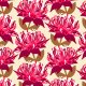 Fabric 15809 | Waratah australian flora cream - Large Scale