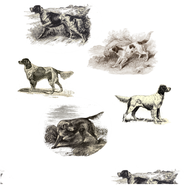 Tkanina 15816 | PSY MYŚLIWSKIE SETERY - Setters Hunting dogs