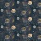Fabric 15829 | cosmos