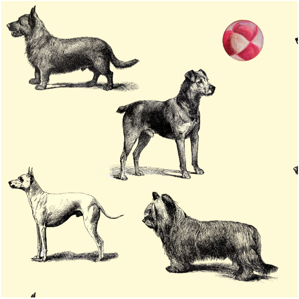 Tkanina 15839 | PSY TERRIERY - TERRIER DOGS