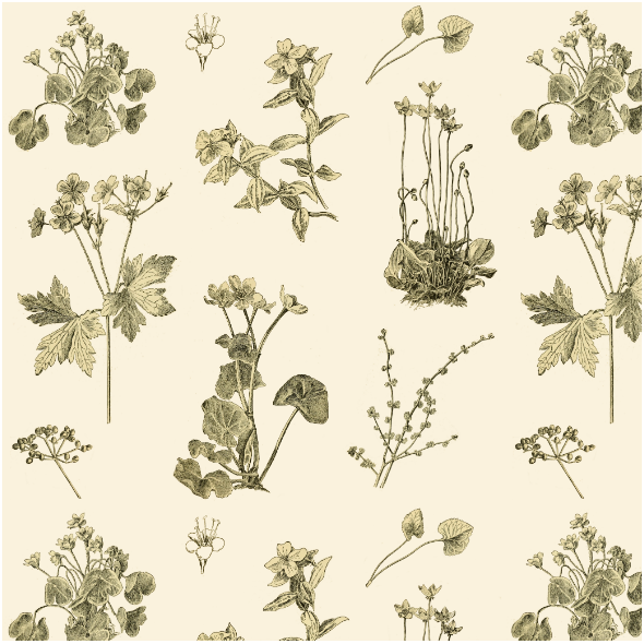 Fabric 15895 | BOTANICZNA ŁĄKA - BOTANICAL MEADOW