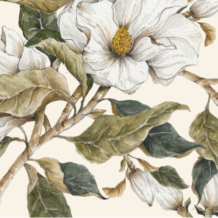 Tkanina 16108 | magnolia light