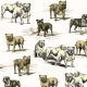 Fabric 16116 | PSY BULDOGI - BULDOG DOGS