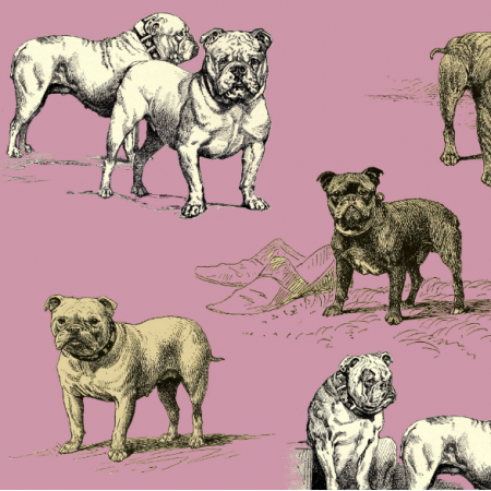 16122 | PSY BULDOGI - BULLDOG DOGS 