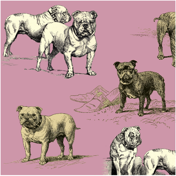 Tkanina 16122 | PSY BULDOGI - BULLDOG DOGS 