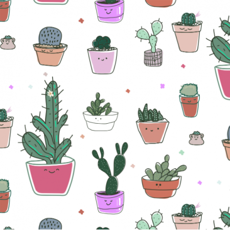 16176 | Funny colors cacti