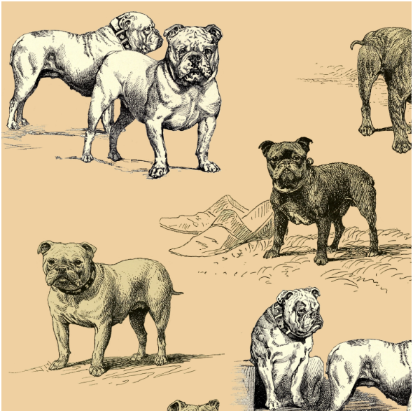 Tkanina 16483 | PSY BULDOGI - BULLDOG DOGS