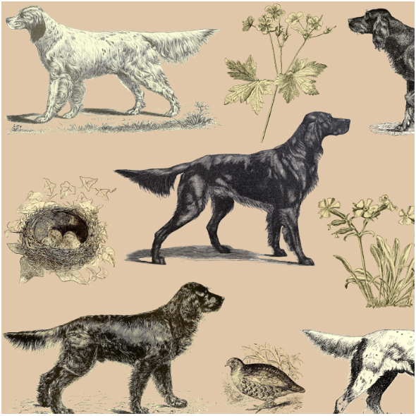 Fabric 16509 | PSY SETERY NA BEŻOWYM - SETTER DOGS ON BEIGE