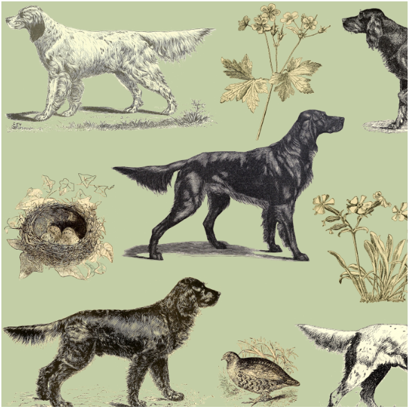 Tkanina 16512 | PSY SETERY NA ZIELONYM - SETTER DOGS ON GREEN 