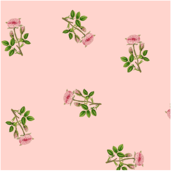 Fabric 16565 | RÓŻOWE RÓŻYCZKI - PINK ROSE FLOWER