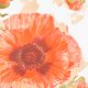 Fabric 16643 | CZERWONE MAKI